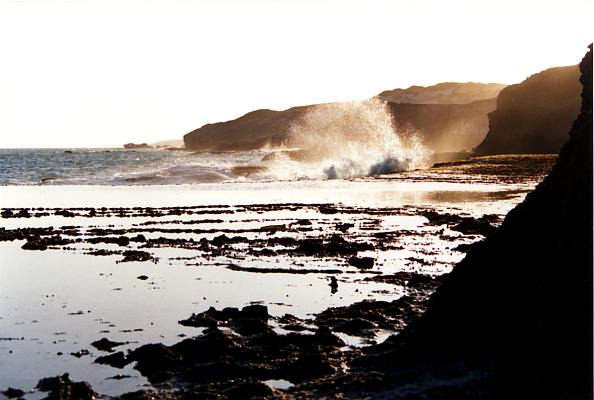 Sea level limestone ridge[PSwart]